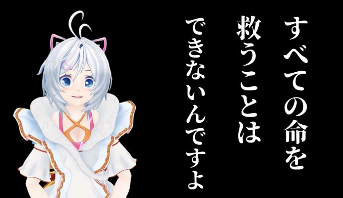 電脳少女シロちゃん直筆サイン色紙 | sciedtec.com