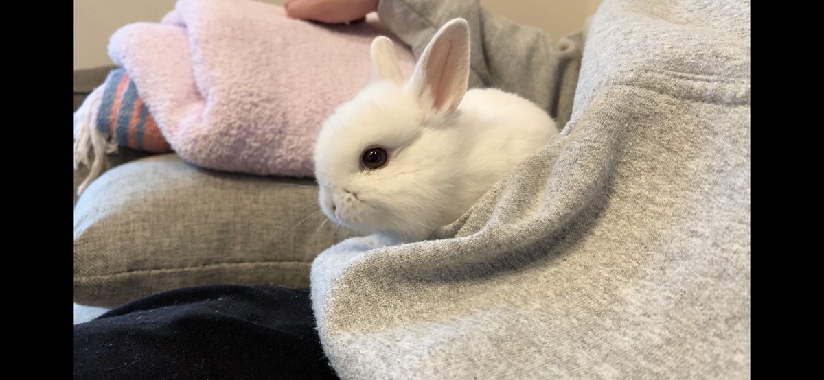 正面と横顔、どっちがお好き？🐰 うーーーーん！！！！！どっちも