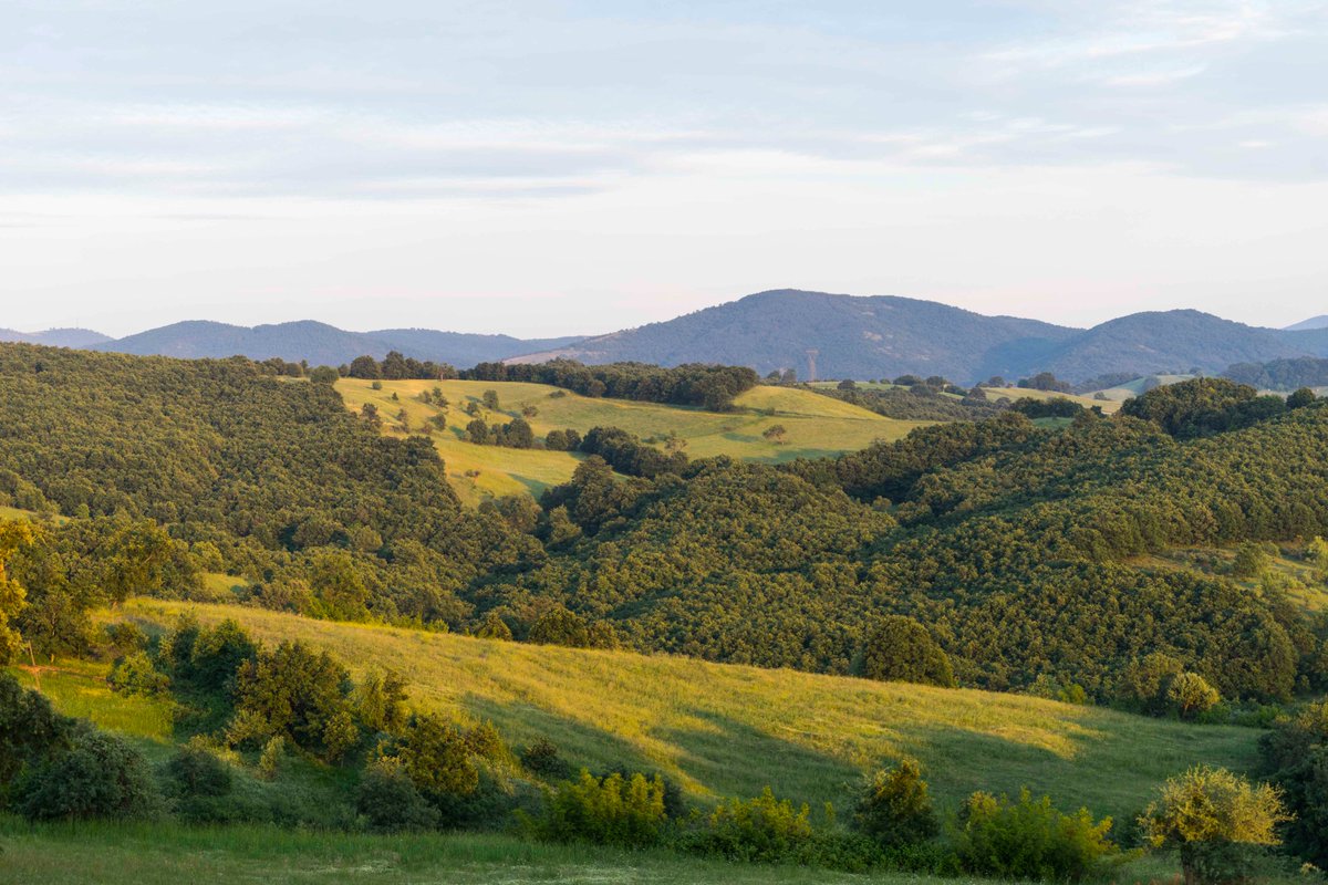 "Hem iklim krizinin etkilerini azaltmak için hem de artan nüfusa sağlıklı ve sürdürülebilir gıda sağlanması için toprağın sağlıklı olması şart." 
<a href="/RuhunDoysun/">Grundig | Ruhun Doysun</a> Onarıcı Tarım’ı Anadolu Meraları kurucusu <a href="/Yudheyn/">Durukan Dudu</a>'ya sordu 👇🔗
ruhundoysun.com/yazilar/onaric…