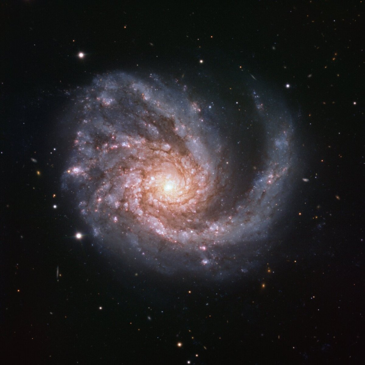 Our Picture of the Week features a galaxy named both NGC 4254 and Messier 99, a beautiful cosmic spectacle located in the constellation of Coma Berenices (Berenice’s Hair). 

🔗orlo.uk/5FXwM

Credit: <a href="/ESO/">ESO</a>
