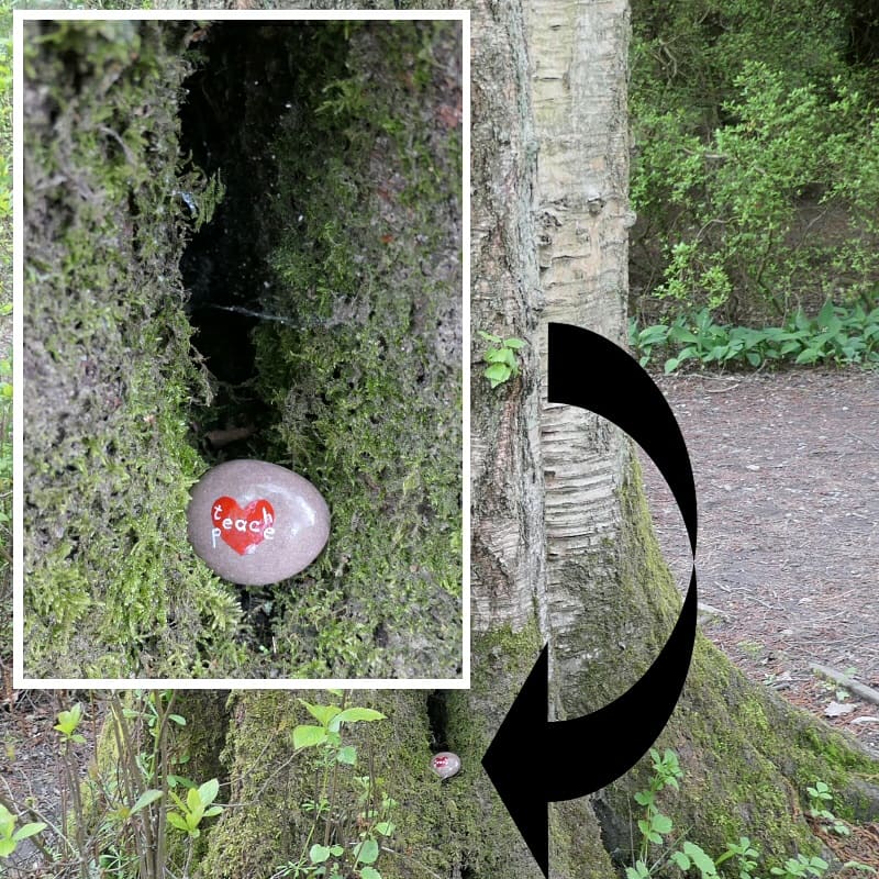Ange1ica's tweet photo. I hid my "Teach Peace" painted rock in the most appropriate place I could find; the Peace Garden at Tilgate Park.
#paintedpebble #rockpainting #teachpeace #peacegarden #rockart #paintedrock https://t.co/ZFfgEm2a7o