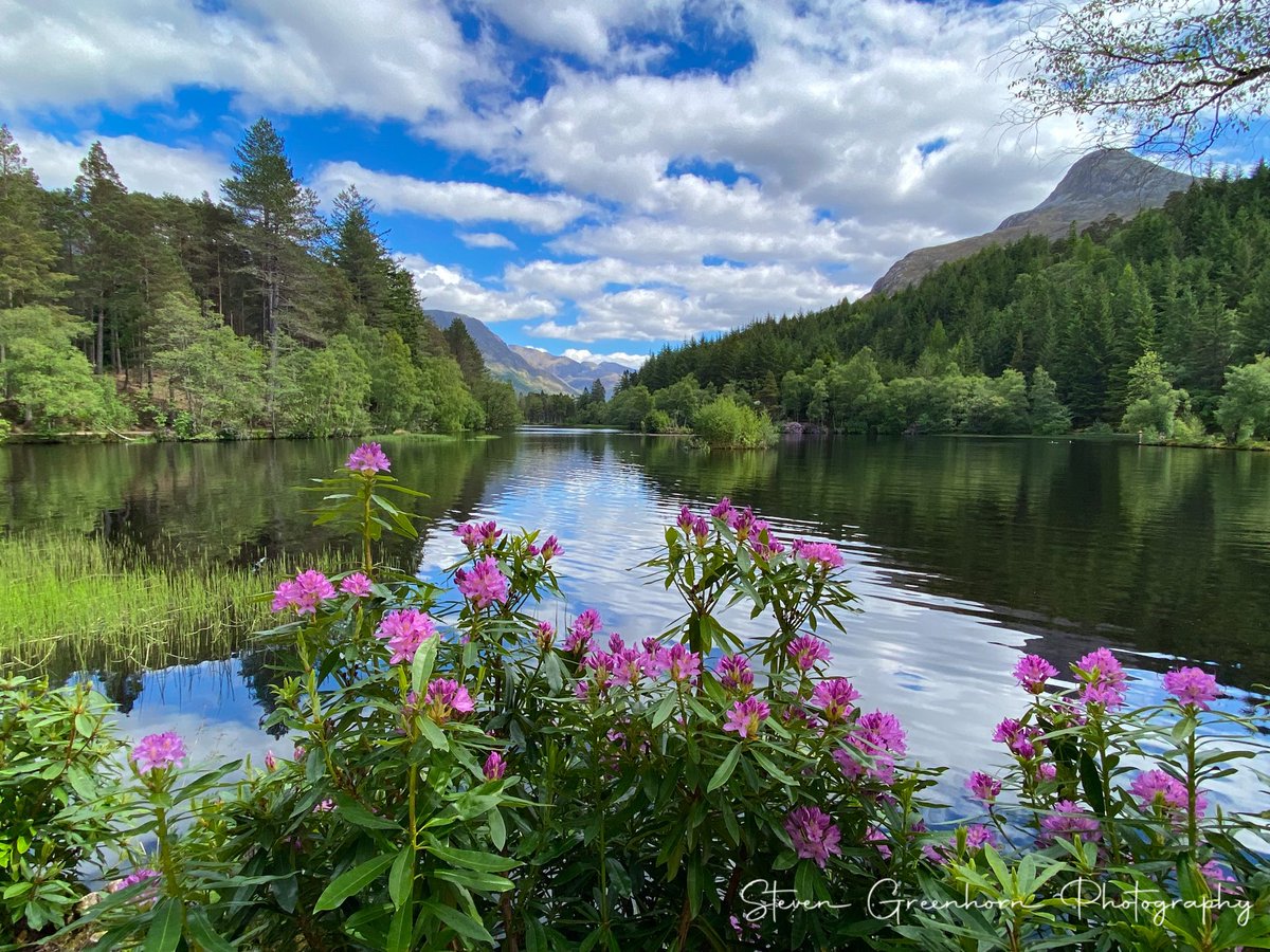 cab_edinburgh's tweet photo. Glencoe Lochan 🏴󠁧󠁢󠁳󠁣󠁴󠁿.                               @VisitScotland @ThePhotoHour @Scotland #photographer #photography #Glencoe #500pxrtg #photooftheday #Highlands #Scotland @Scotland_Mag https://t.co/nnvczcfEh2