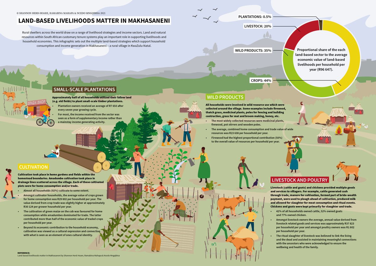 So great to see my research in an easy digestible format. 

Land-based livelihood strats are frequently used, contribute to the HH economic portfolio &amp; support sense of place. This should be considered in discussions around fair compensation for development-induced displacement.