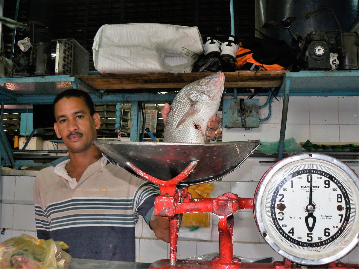 AntonuccioSanoP's tweet photo. Fotografía de Pedro Antonuccio San #venezuelahermosa #elsecretomejorguardadodelcaribe #retrato #pescadería #elmosquero #puertodelaguaira #estadolaguaira #estadovargas #venezuela 2007 #portrait #portraits #portraitphotography #portrait_shots #mar #photo #miradasperfectas #photos https://t.co/wahFtoag51