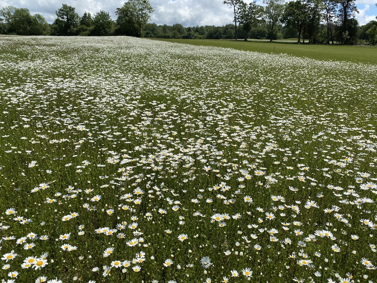 Carl Sharp tweet media