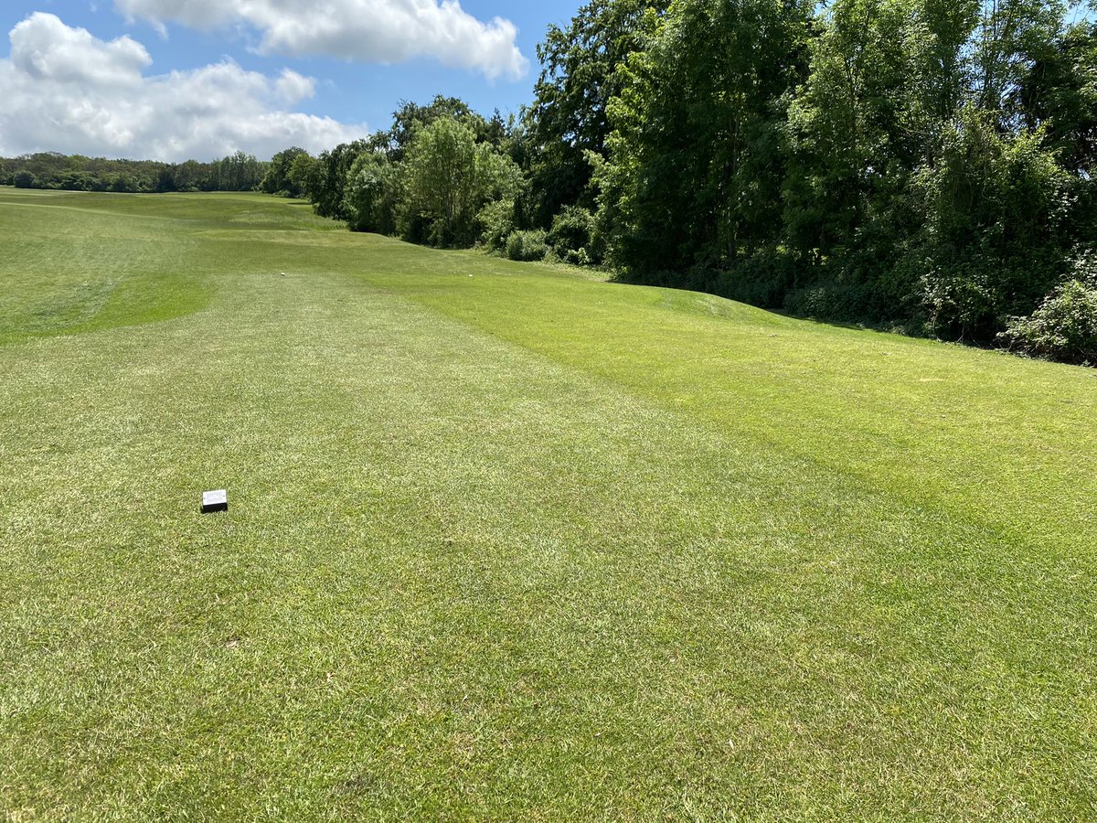 Carl Sharp tweet media