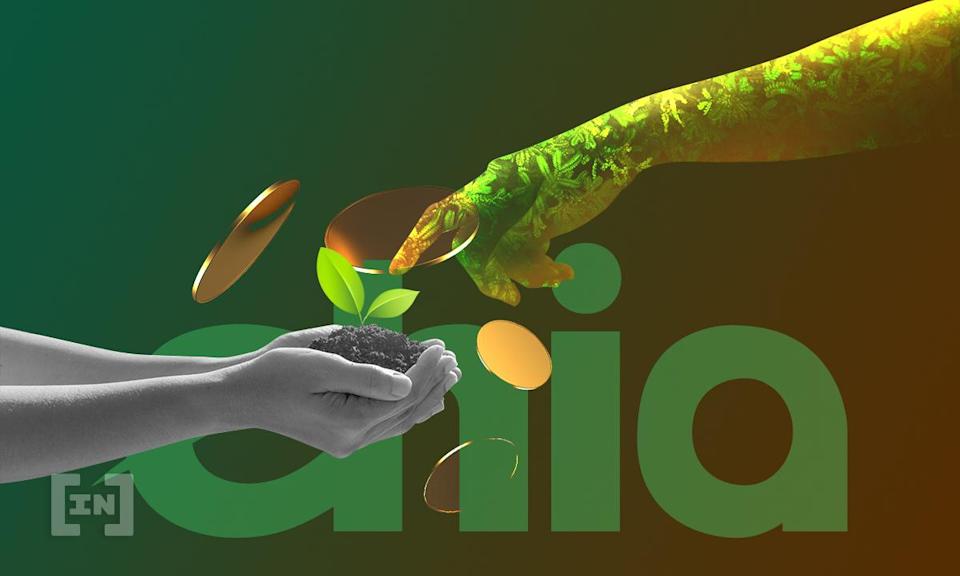 Chia network основатель. Chia network xch. Чиа нетворк. Chia coin. Chia лого.