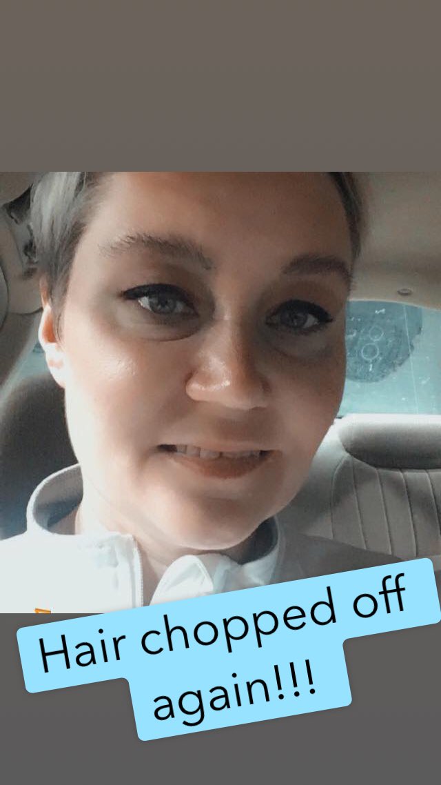 TJs Quest tweet media