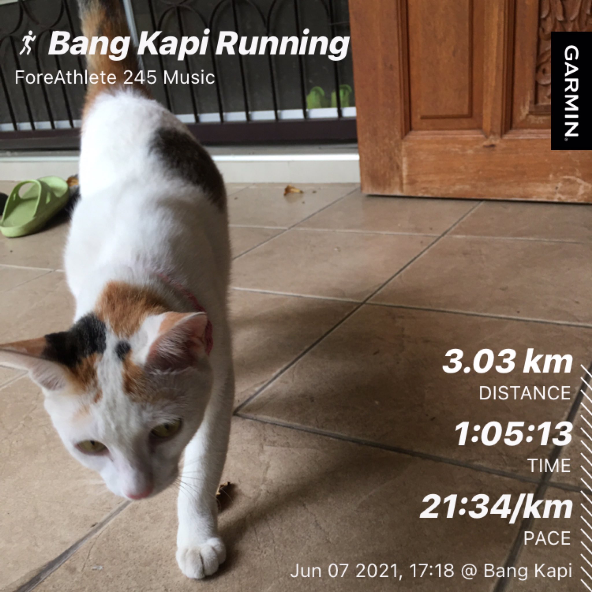 Zone2running Twitter Search Twitter