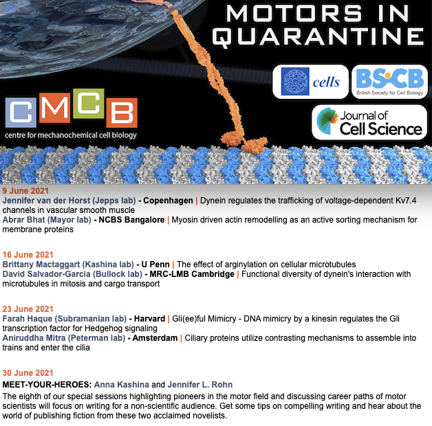 AnneStraube's tweet photo. Lots to look forward to #MotorsInQuarantine in June. Our 45th edition this week will feature @vdHorstJennifer from
@tajepps lab @UCPH_health and @_abrarbhat from @jitumayor_lab @NCBS_Bangalore who will talk about how motors traffic and sort transmembrane proteins. https://t.co/HU5RmNUZ0d