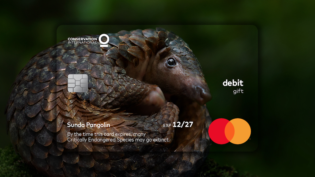Mastercard dévoile des cartes bancaires "animaux en voie de disparition" dont la date d'expiration correspond à la date d'extinction de l'espèce. Une sensibilisation en partenariat avec l'ONG <a href="/ConservationOrg/">Conservation Intl</a>.

Plus d'infos : bit.ly/2S7Fov3