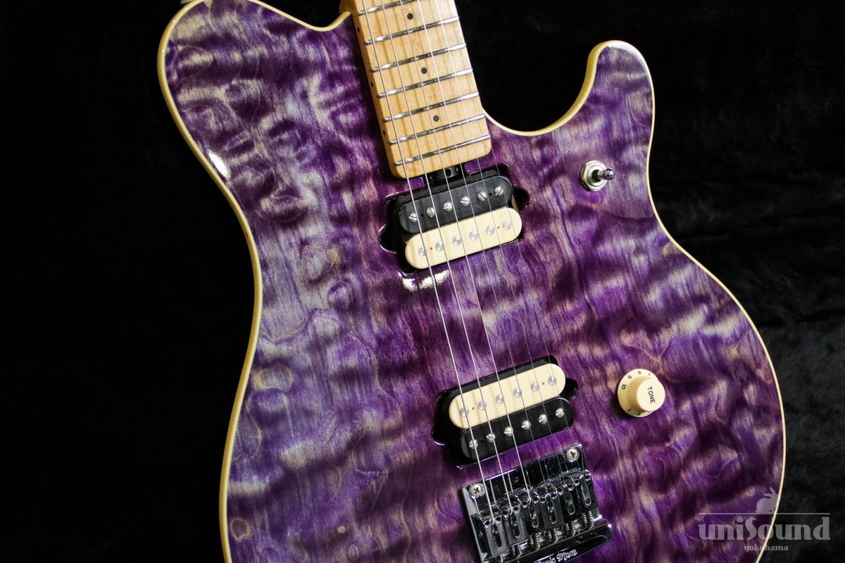 超希少なハードテイル仕様！ MUSIC MAN EVH Signature Hard Tail