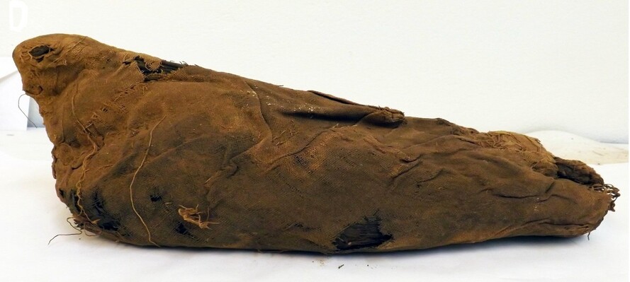 오리넉울 tweet media