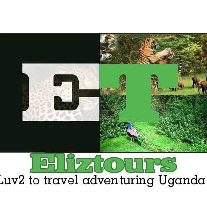 AyaMutima's tweet photo. Planning the ultimate vacay, beautiful Uganda is the way to go
December 2021- January 2022 emal mutimacare@gmail.com https://t.co/vyhS4tgLfG