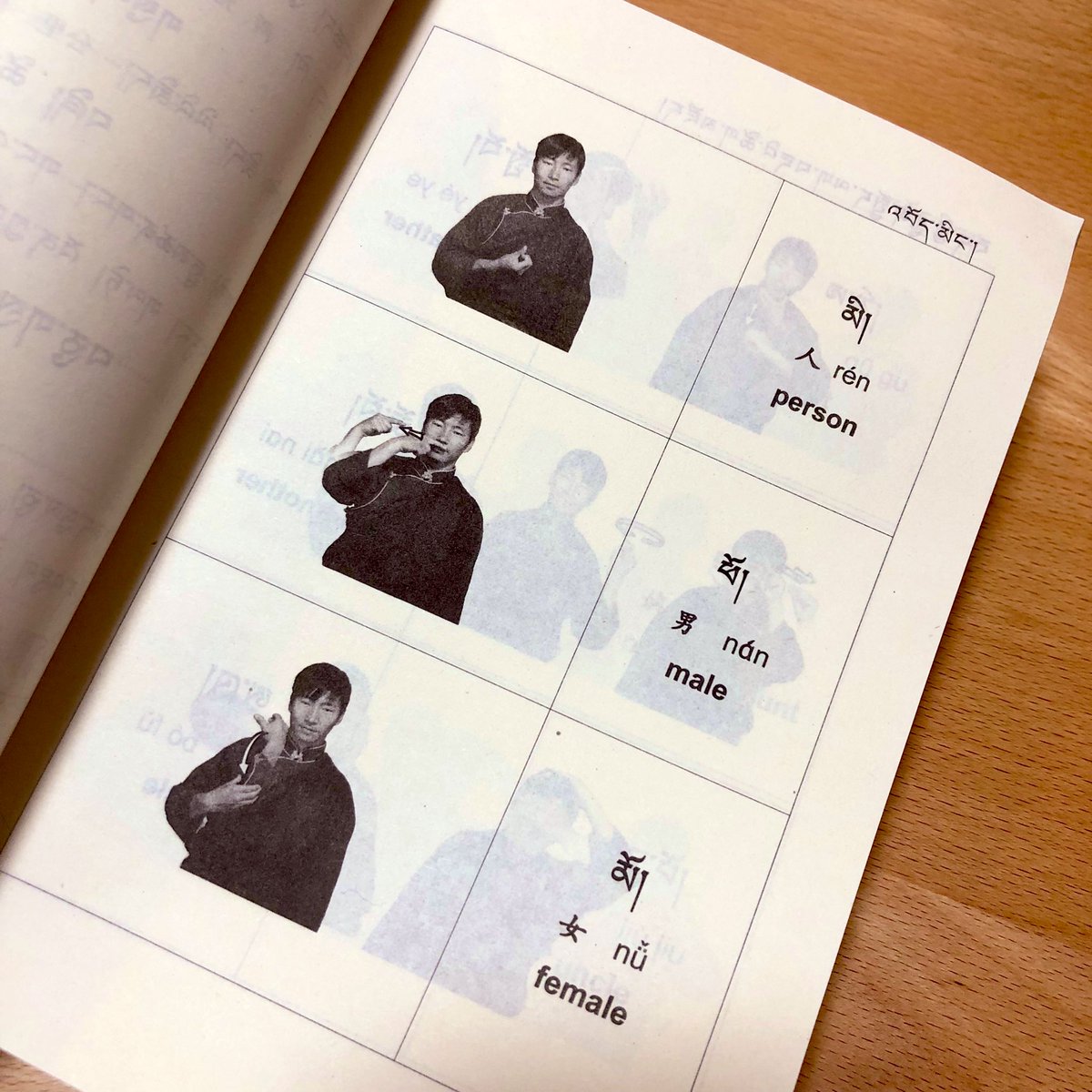 チベット手話の辞典（常用蔵族手語詞典）を手に入れた。チベット語