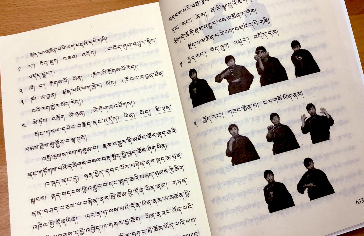 チベット手話の辞典（常用蔵族手語詞典）を手に入れた。チベット語