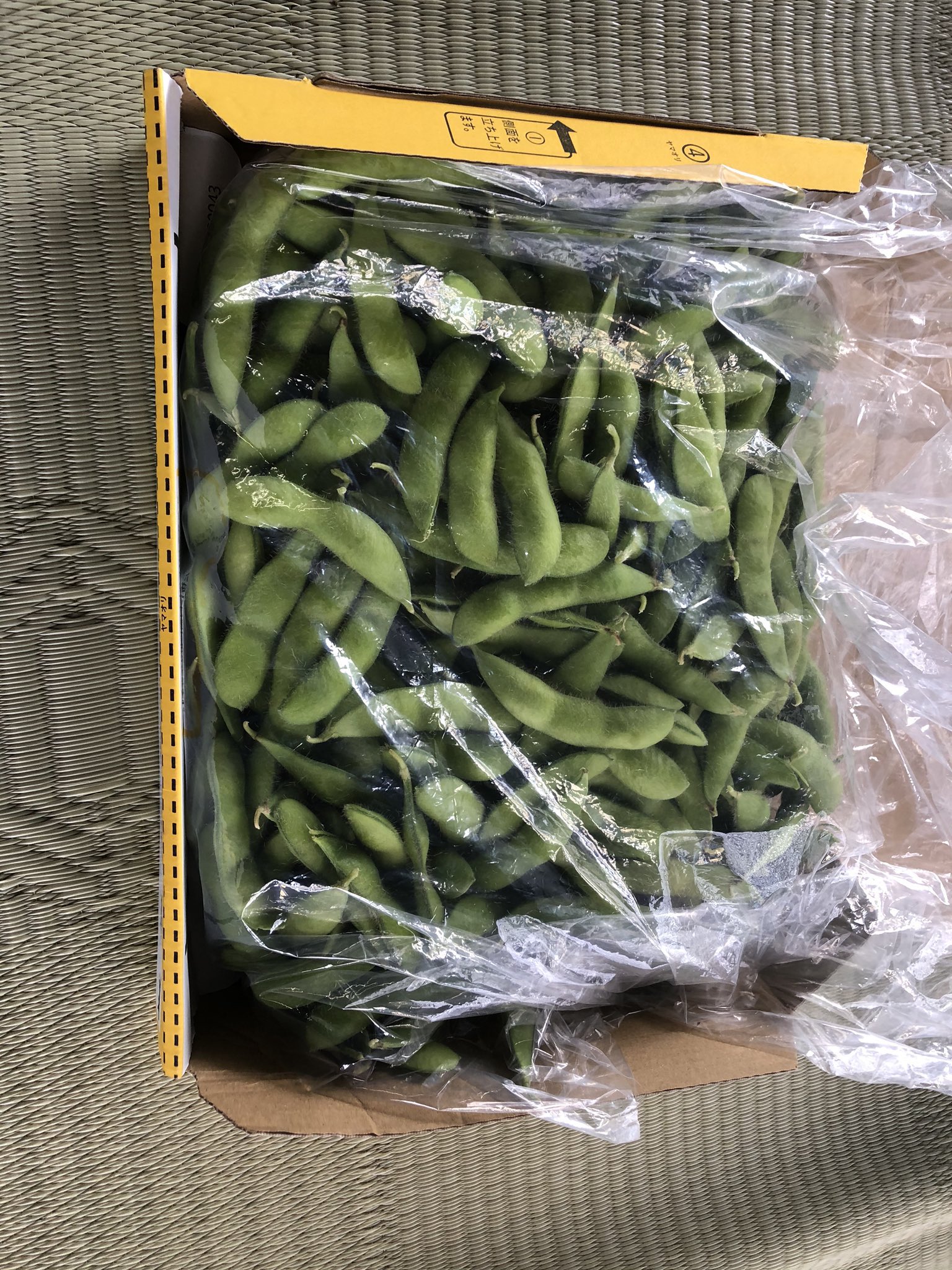 Mitaya01 みたや 枝豆の通販再開します 購入希望の方がいましたら下のメモに目を通した上でdmをよろしくお願いします 価格は1kg1500円 送料 箱代 消費税込み です 今回の品種は 神風香 かみふうか になります 中身は普通の枝豆と同じ
