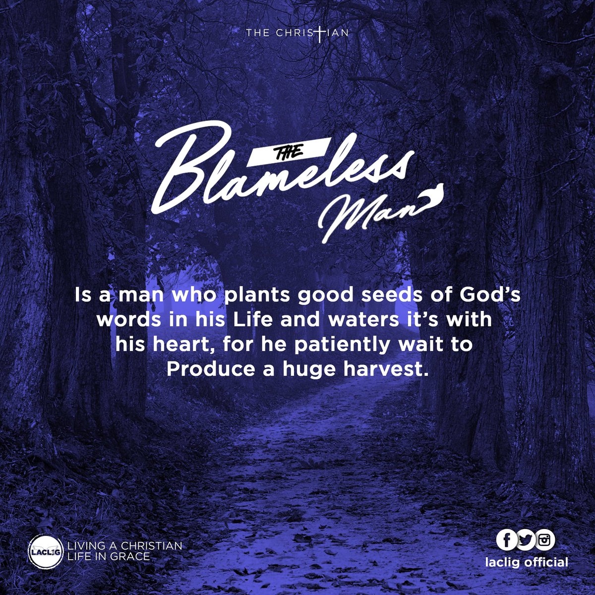 lacglig's tweet photo. Luke 8:15
And the seeds that fell on the good soil represent honest, goodhearted people who hear God’s word, cling to it, and patiently produce a huge harvest.                      # #LACLIG OFFICIAL DAY 5 😇🔥      #blamelessman #godfirst https://t.co/oEQucnZGjh