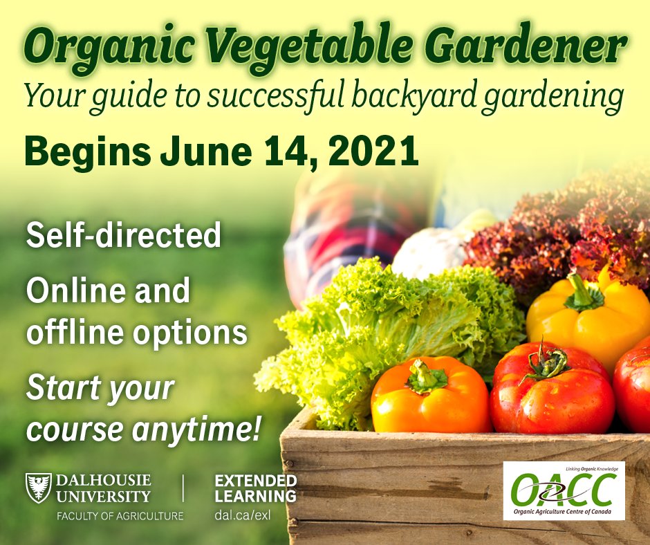 ExL_DalAC's tweet photo. Looking for a great course to help you become successful with your backyard vegetable garden? Look no further.  Work at your own pace, on or offline, and the course opens June 14th.  https://t.co/RGq7CEESEj https://t.co/NRydQwcjLK