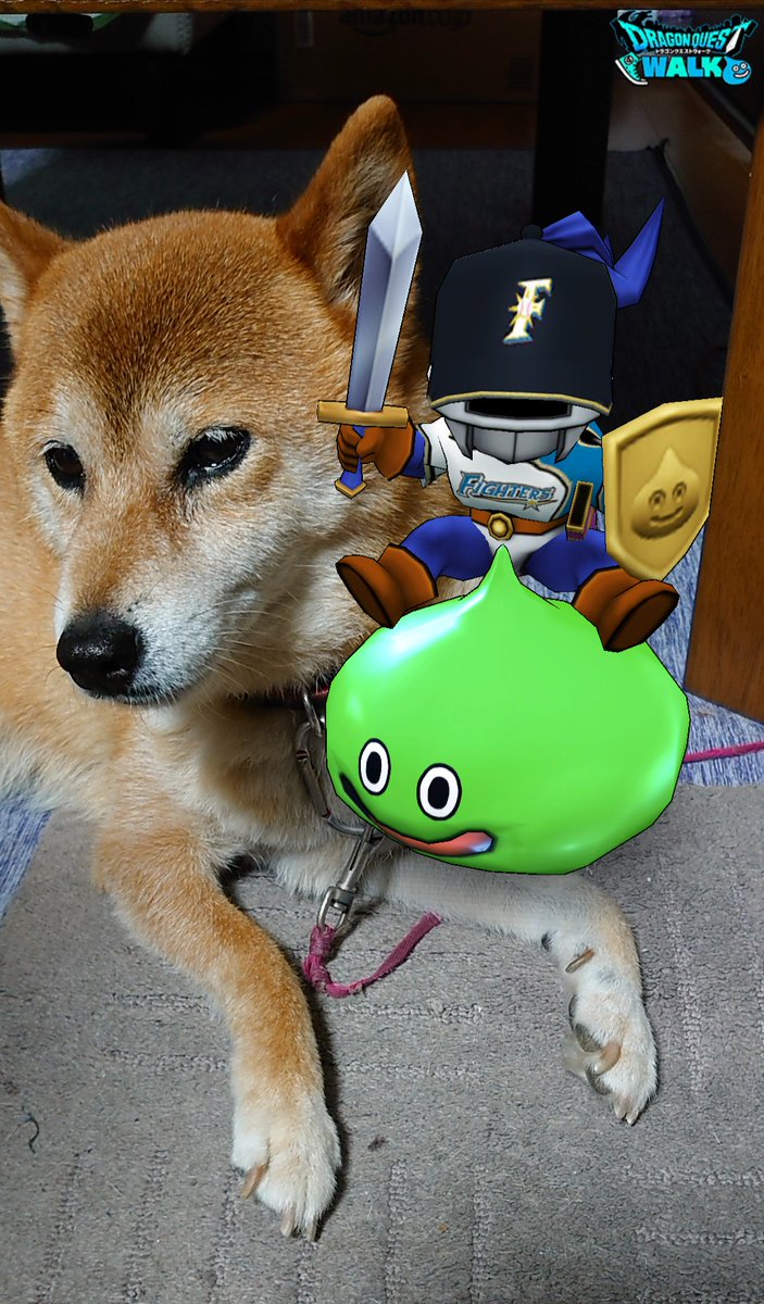 ドラクエウォーク さまようよろいのこころ能力と特殊効果 グレードs 攻略大百科