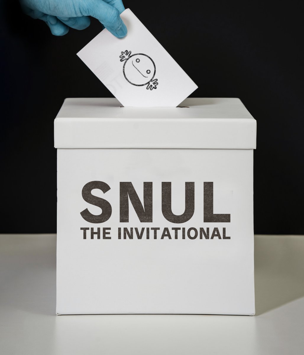 🗳️The community-vote to elect the player who will be invited for #SNULTheInvitational is now live!
- ONLY players who participated to at least one complete season of SNUL can vote.
- You have only ONE VOTE
- Voting phase is from 07/06 to 10/06 at 12:00
forms.gle/waHui5ivCjJKmK…