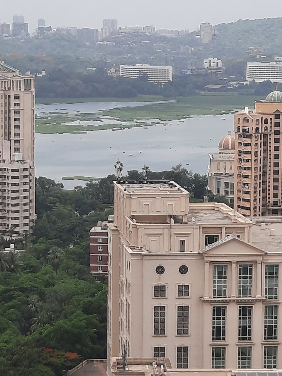 Critical environmental buffer #PowaiLake is slowly being taken over by weeds. These are photos on different days. This lake touches two MP constituencies, 2 MLAs, many BMC members. Most belong to #BJP or #ShivSena. All assurances. No work. We talk so much about #GreenMumbai 😓