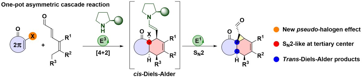 Jørgensen Group (@jorgensengroup) on Twitter photo Aminocatalysis to make make norcaranes! Check out our new paper in <a href="/angew_chem/">Angewandte Chemie</a>: onlinelibrary.wiley.com/doi/abs/10.100…. Congratulations to Casper's team🎉
#chemtwitter #dkforsk <a href="/Chemistry_AU/">Department of Chemistry - Aarhus University</a> Aminocatalysis to make make norcaranes! Check out our new paper in <a href="/angew_chem/">Angewandte Chemie</a>: onlinelibrary.wiley.com/doi/abs/10.100…. Congratulations to Casper's team🎉
#chemtwitter #dkforsk <a href="/Chemistry_AU/">Department of Chemistry - Aarhus University</a>