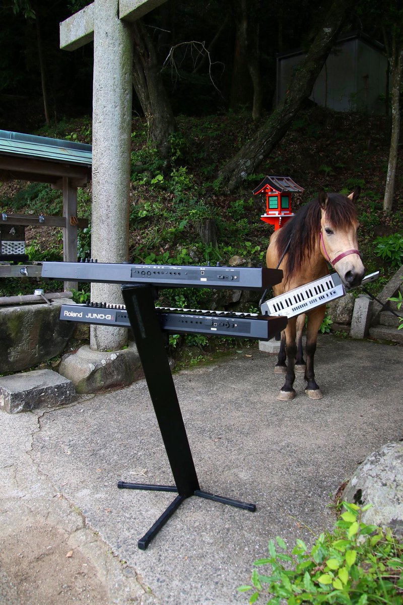 yoshikawa8izume's tweet image. 🐴リハやるどどん
月曜日のオドドン🐴おどどどん💦
𓃒𓃓𓃔𓃕𓃖𓃗𓃘𓃙𓃚𓃛𓃜𓃝𓃞𓃟𓃠𓃡𓃢𓃣𓃤𓃥𓃦𓃧𓃨𓃩𓃪𓃫𓃬𓃭𓃮𓃯𓃰𓃱𓃲𓃳𓃴𓃵𓃶𓃷𓃸𓃹𓃺𓃻𓃼𓃽
#TMN #memorymoog #JD800 #Synclavier #小室哲哉 #EXPO #TK #Prophet600