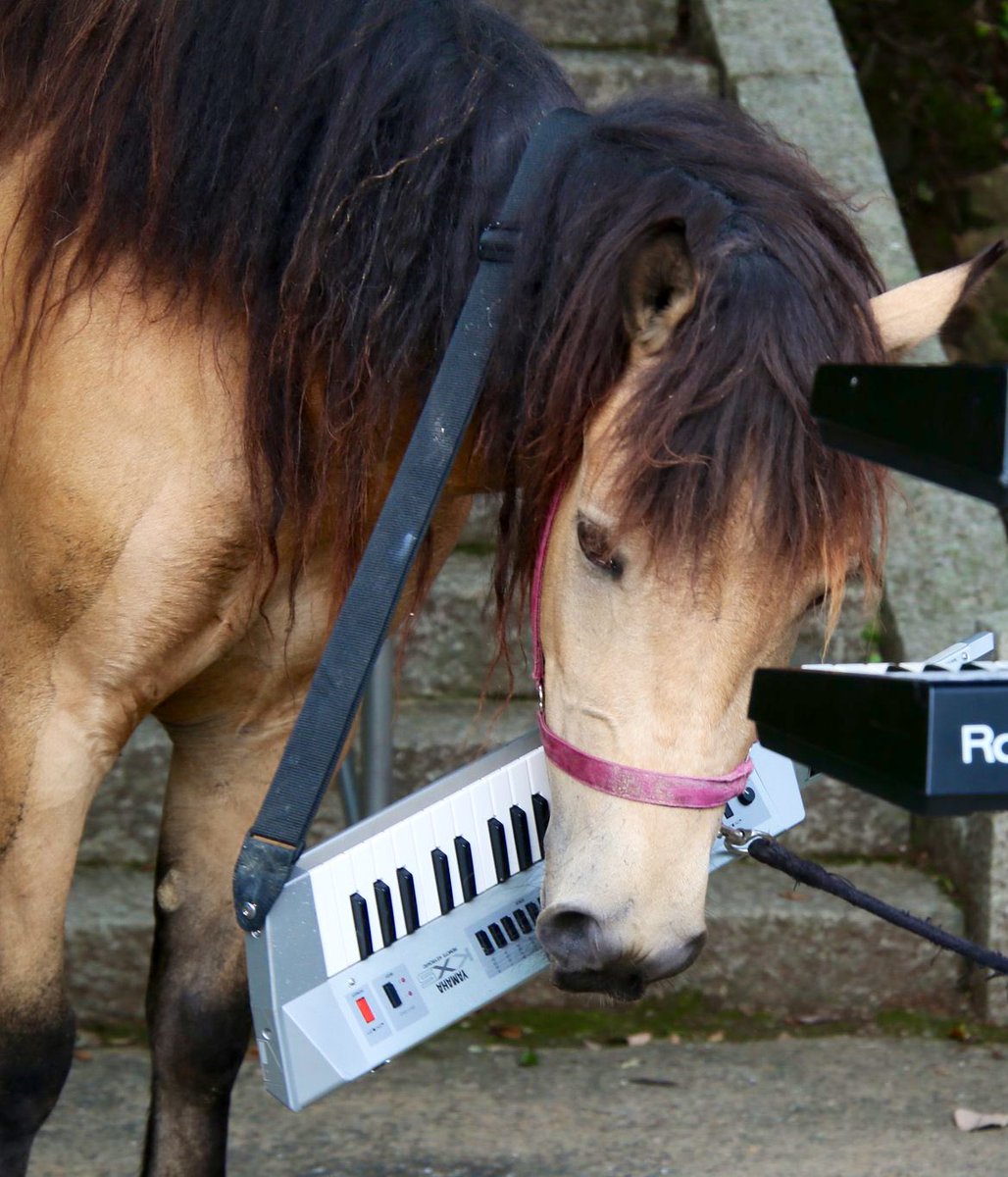 yoshikawa8izume's tweet image. 🐴リハやるどどん
月曜日のオドドン🐴おどどどん💦
𓃒𓃓𓃔𓃕𓃖𓃗𓃘𓃙𓃚𓃛𓃜𓃝𓃞𓃟𓃠𓃡𓃢𓃣𓃤𓃥𓃦𓃧𓃨𓃩𓃪𓃫𓃬𓃭𓃮𓃯𓃰𓃱𓃲𓃳𓃴𓃵𓃶𓃷𓃸𓃹𓃺𓃻𓃼𓃽
#TMN #memorymoog #JD800 #Synclavier #小室哲哉 #EXPO #TK #Prophet600