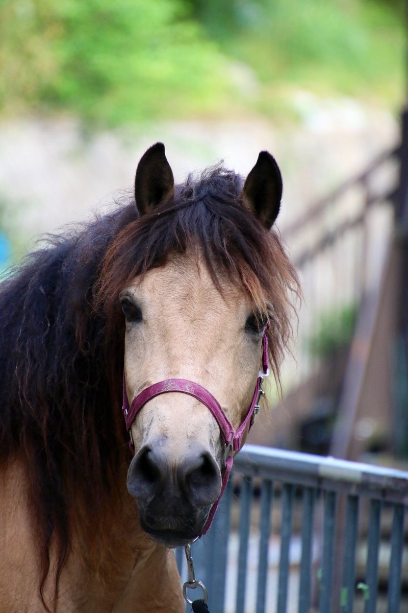 yoshikawa8izume's tweet image. 🐴リハやるどどん
月曜日のオドドン🐴おどどどん💦
𓃒𓃓𓃔𓃕𓃖𓃗𓃘𓃙𓃚𓃛𓃜𓃝𓃞𓃟𓃠𓃡𓃢𓃣𓃤𓃥𓃦𓃧𓃨𓃩𓃪𓃫𓃬𓃭𓃮𓃯𓃰𓃱𓃲𓃳𓃴𓃵𓃶𓃷𓃸𓃹𓃺𓃻𓃼𓃽
#TMN #memorymoog #JD800 #Synclavier #小室哲哉 #EXPO #TK #Prophet600