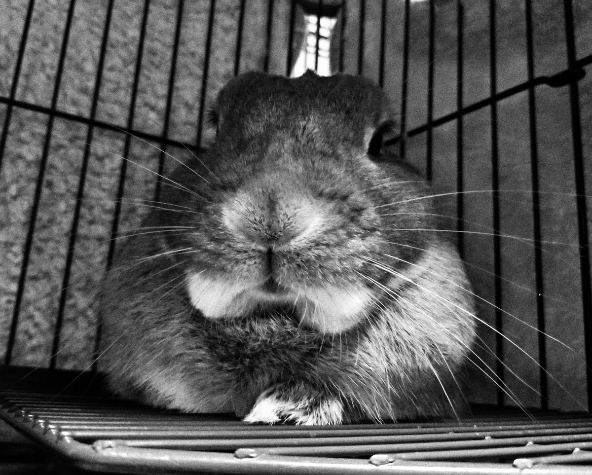 助平広志 Sukebei Hiroshi Twitter