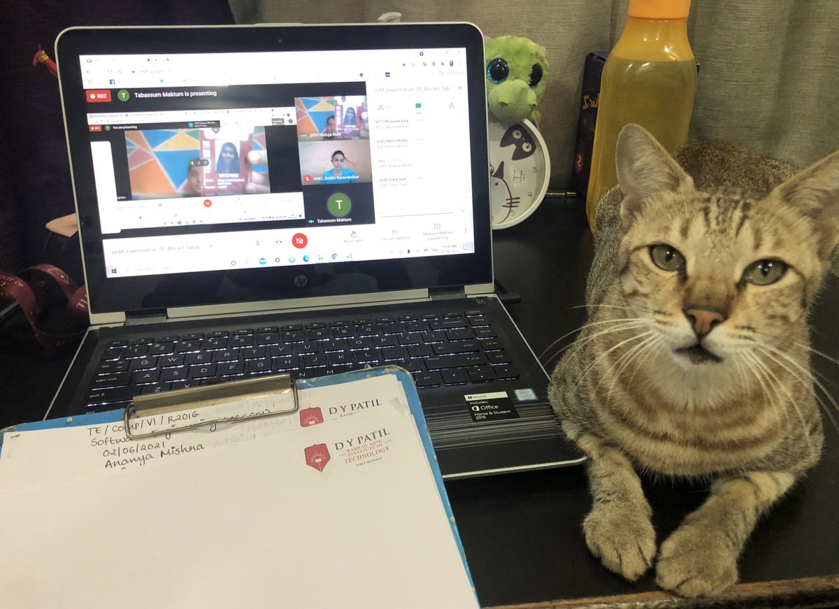 ananyatweeting's tweet photo. Yes ma’am I’m a copy cat https://t.co/cvJA5xnAyi