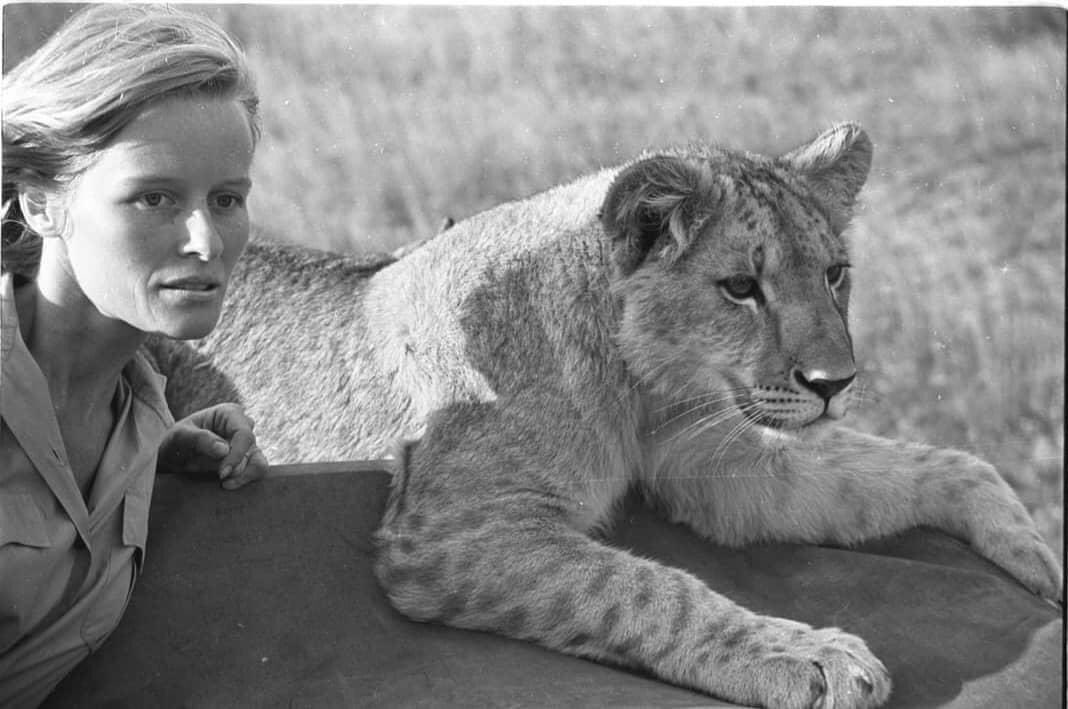 Happy 90th Birthday to the beautiful Wildlife Angel Virginia McKenna    xxx 