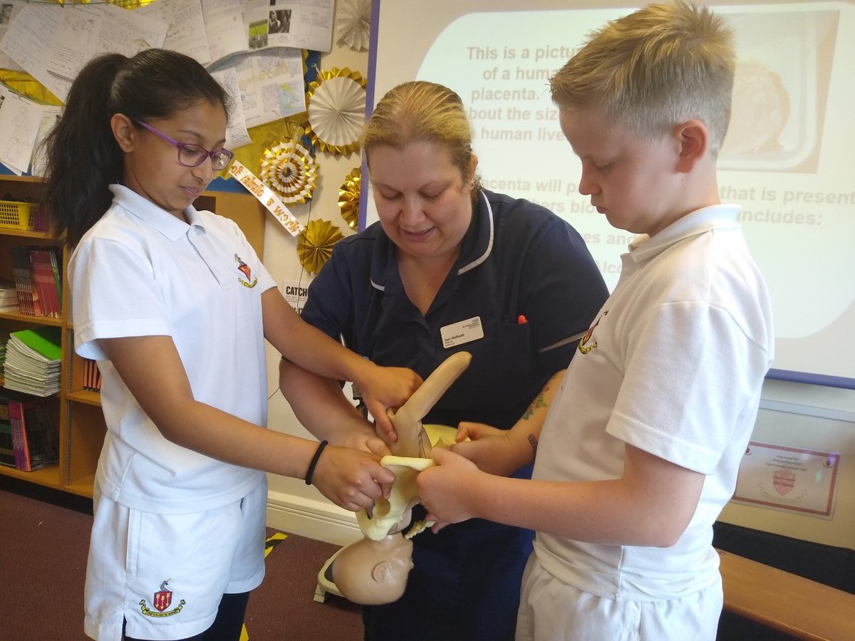 KHVIIIJunior's tweet photo. Call the midwife! Year 6 are privileged to have a visit this morning from Mrs Halliwell, a midwife at Birmingham Women's Hospital. She delivered a baby at 6.15am and the rushed straight over to teach us how babies are born! https://t.co/eK1aDg3EFR