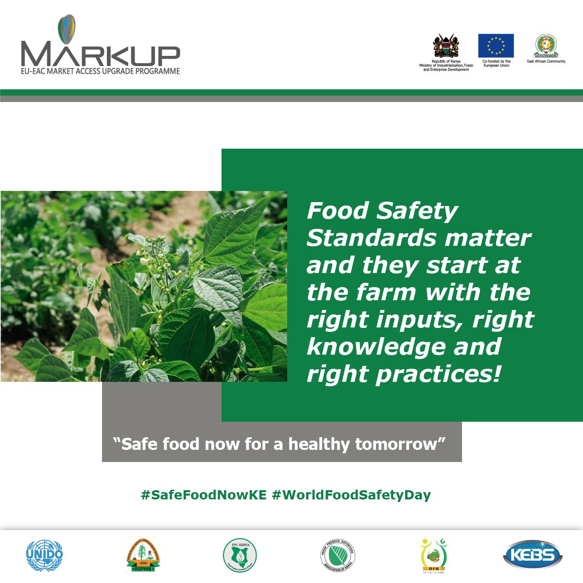 markupkenya's tweet photo. 🎉 It’s the 3rd World Food Safety Day!

This year’s theme “Safe food now for a healthy tomorrow”, stresses that production and consumption of safe food has immediate and long-term benefits for people, the planet and the economy.

#SafeFoodNowKE #WorldFoodSafetyDay https://t.co/rVZf9BhG5h