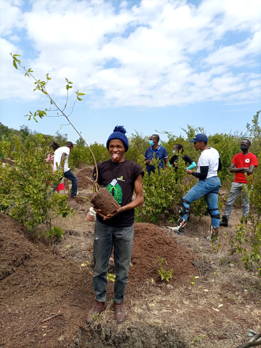 MitiAlliance's tweet photo. Thank you to all the restoration believers who joined us on Saturday to mark #WorldEnvironmentDay2021 #WED2021. We appreciate you all.
@milkywired
@muindi_elijah @cookswelljikos @emmaochieng5 @fiona_mugure @brackenhurstke @ZiaraKenya @GreenMorans #TreeMuseum #Restoration https://t.co/5jUqQNjvSe