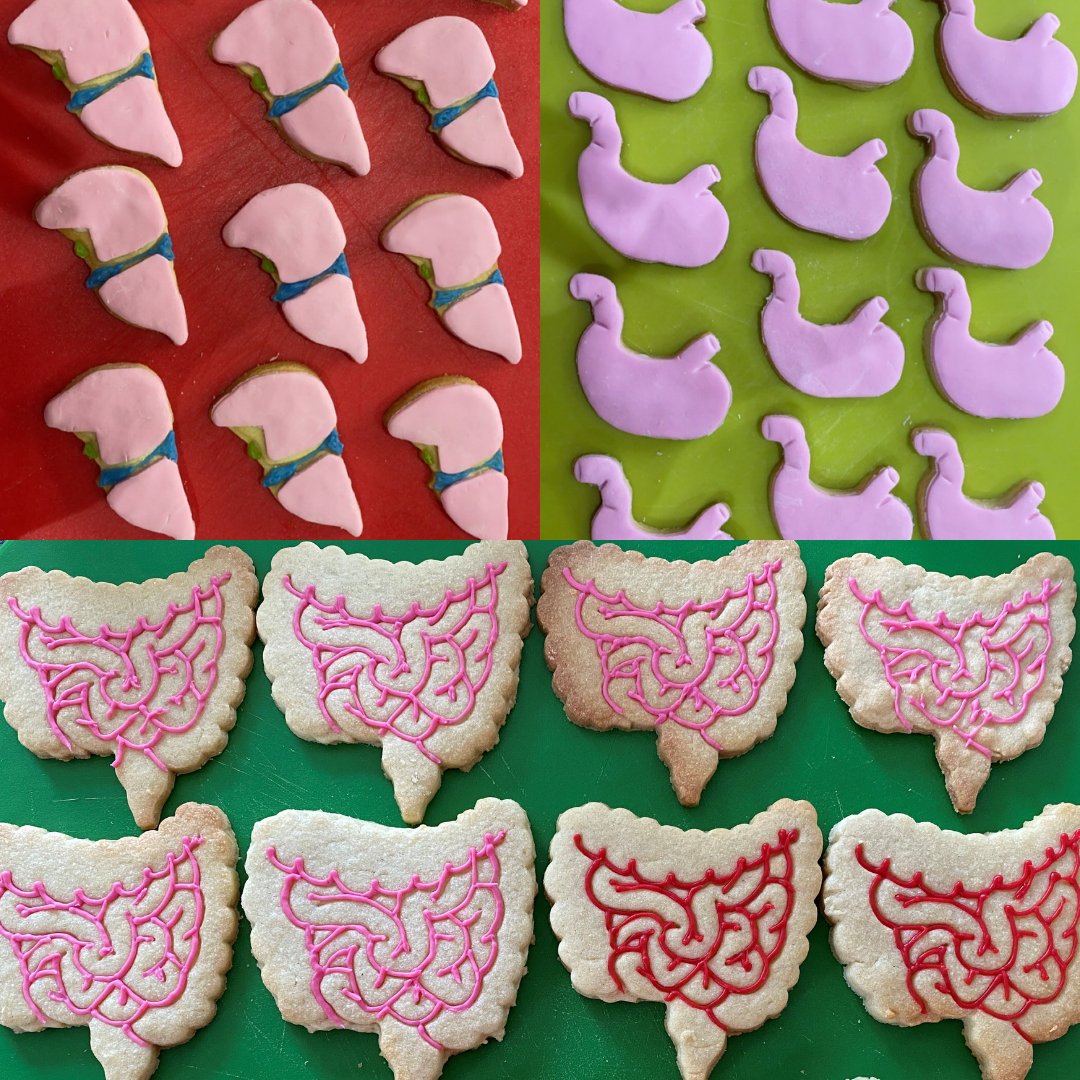 These clever anatomy themed biscuits from @claremckenzieRD, a dietitian at University Hospital Monklands @NHSLanarkshire, feature some really detailed icing! #DW2021