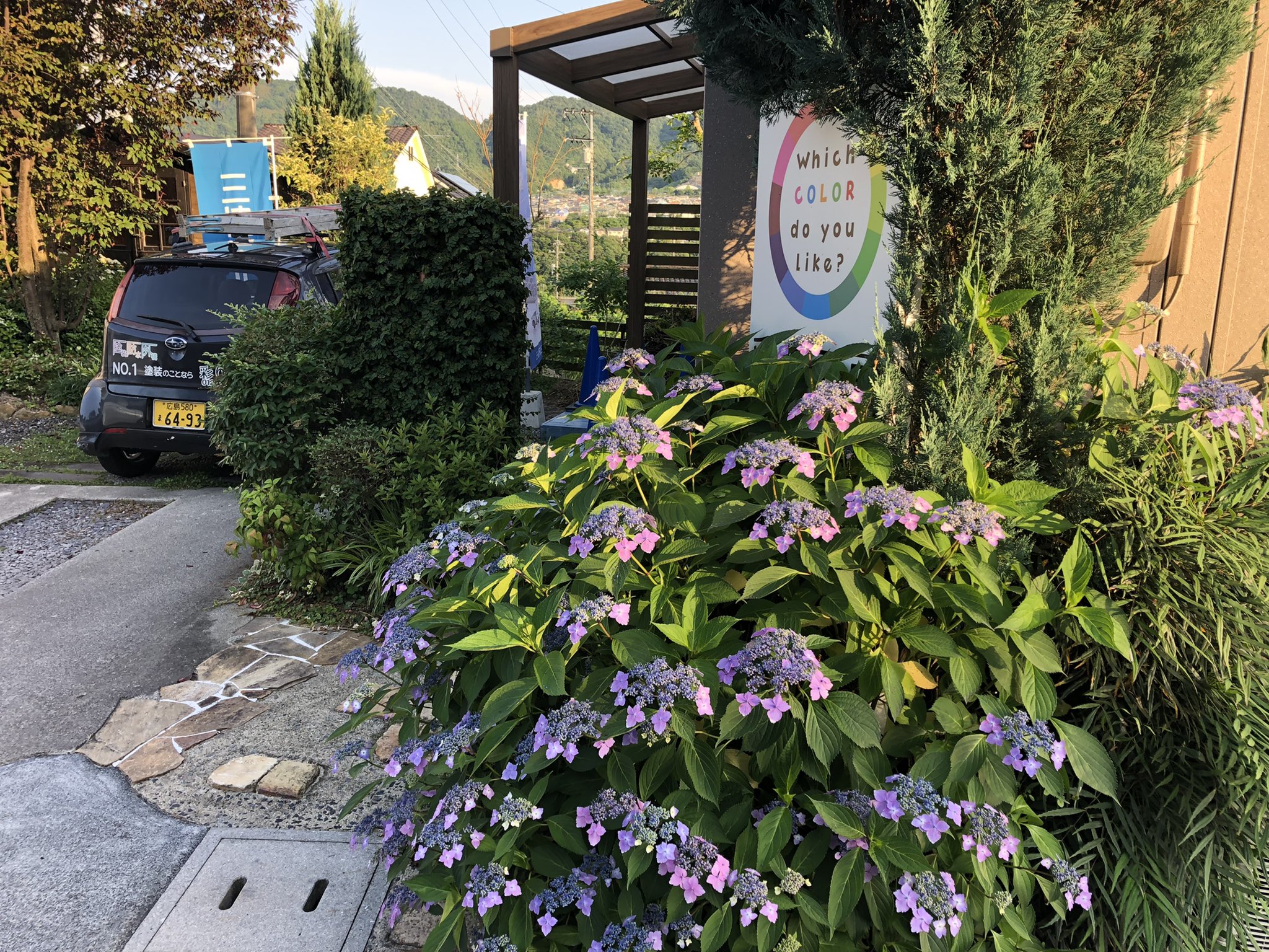 彩り工房 紫陽花が綺麗咲いています 梅雨ですか 今は 初夏ですネ T Co Itjzfgwbdh Twitter