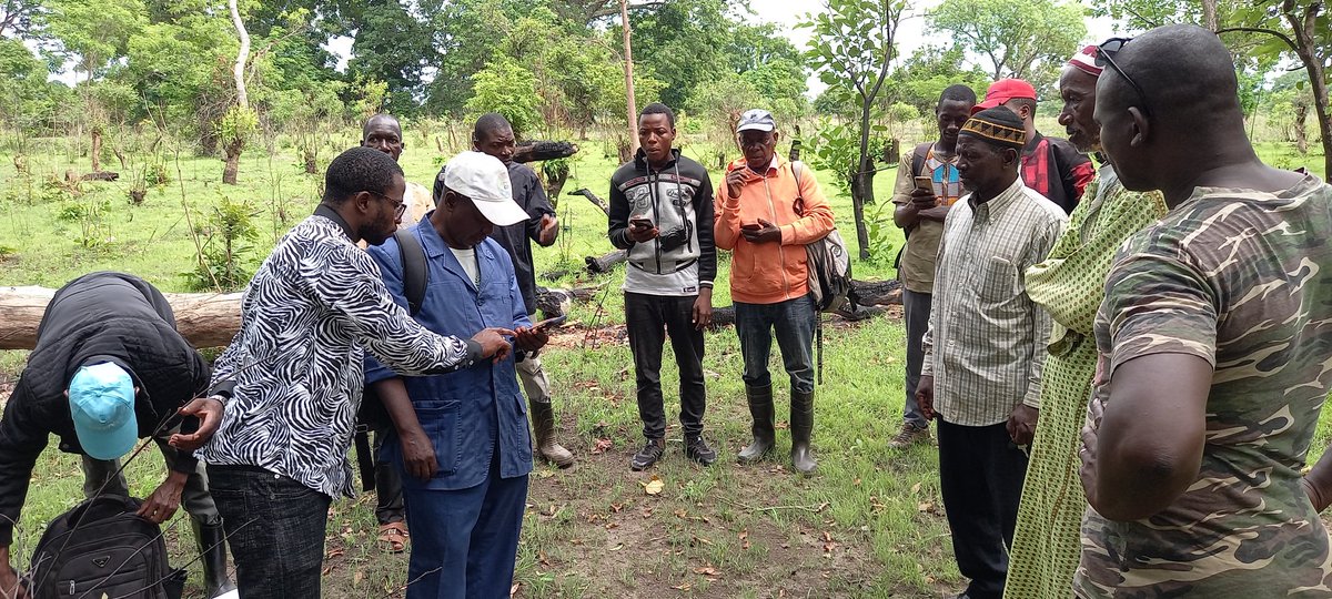 EmmanuelKOUROU2's tweet photo. Notre investigation sur le terrain à été de collecter les données sur les forêts classées communautaires crées par les ONGs à travers le Projet pour une gestion intégrée des ressources naturelles. (@peged_pnud/@PNUDGuinee)
@UN_Mappers
@FreeLMappers
@hotosm
@UNEP
@WorldBank 
@UNDP https://t.co/uphhk6atlL