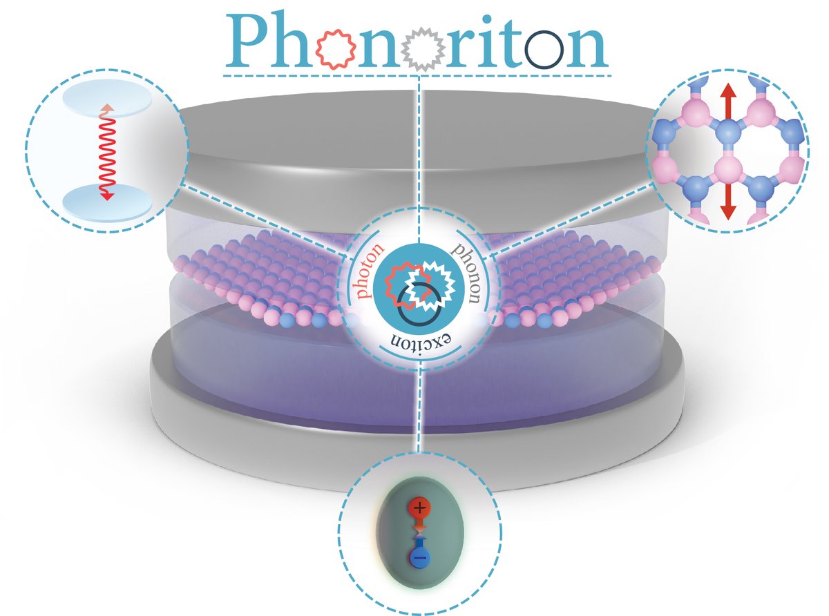 MPSDHamburg's tweet photo. Neuer Materialdesign-Ansatz: Team am MPSD / @MIT_Physics belegt, dass eingefangenes Licht zur Erzeugung von Phonoritonen genutzt warden kann. Jetzt in @PhysRevLett!
https://t.co/PrQZDIE2Od
#photonen #exzitonen #polaritonen #quasiteilchen
Bild: S. Latini / U. de Giovannini https://t.co/y3D8GkCgIA