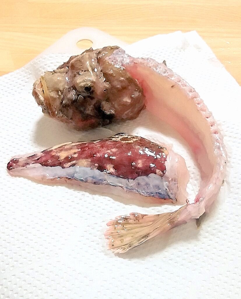 明利英司 Twitter画像 タレントボックス