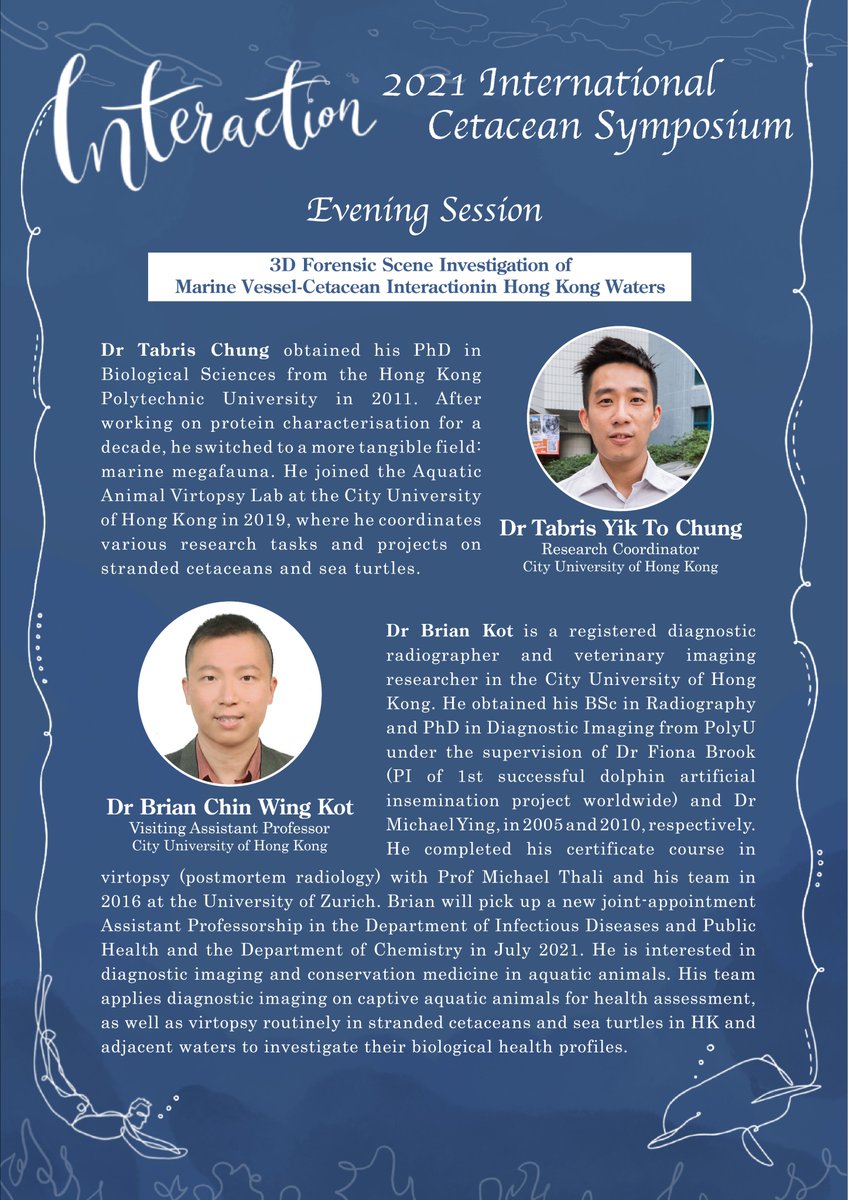 karen_stockin's tweet photo. A privilege to give the 2021 International Cetacean Symposium keynote this evening @MasseyUni #AquaticAnimalVirtopsyLab #Virtopsy #CityU #HongKong #HK #Conservation #Stranding #MarineMammal #Cetacean #VeterinaryMedicine #2021ICS https://t.co/uuJLr9TdhZ https://t.co/QKppIki783