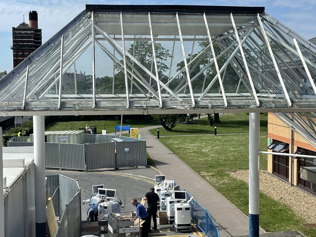 Zeus has landed #guru#Lucy#guru#julie