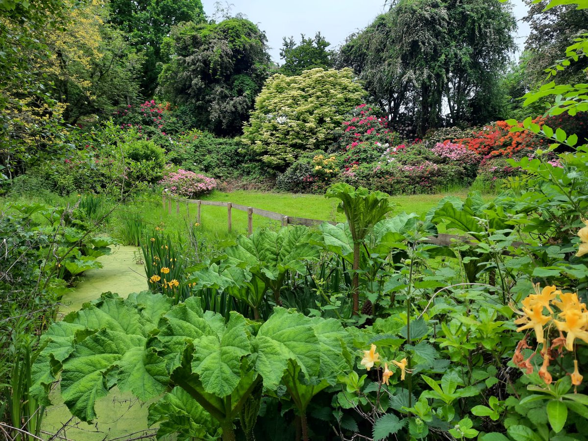 HortechM's tweet photo. One of our managers has been exploring a secret garden this weekend.
Does it inspire you to start your own secret garden? We can help you with that π
#peatfreenursery #secretgarden #wildlife #coventry #gardening #amenity #plants #supplier #hortech #horticulture #Wellbeing https://t.co/VXLyFs2J3u