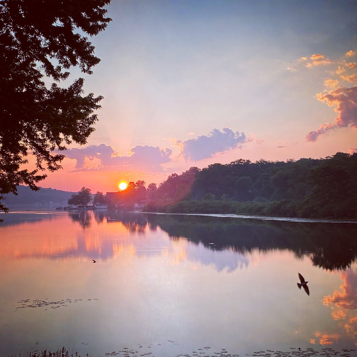 Kelly Reynolds tweet media