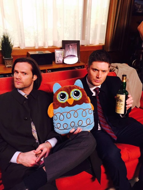 AngelaW42759397's tweet photo. Good morning all hope your well & have a great #ManCrushMonday ♥️♥️♥️
Love these two #RaysofSunshine so much!! 🥰🥰🥰🥰🥰
#JaredAndJensen #SamAndDean
#MissTheseTwo https://t.co/q3lFGMY9sF