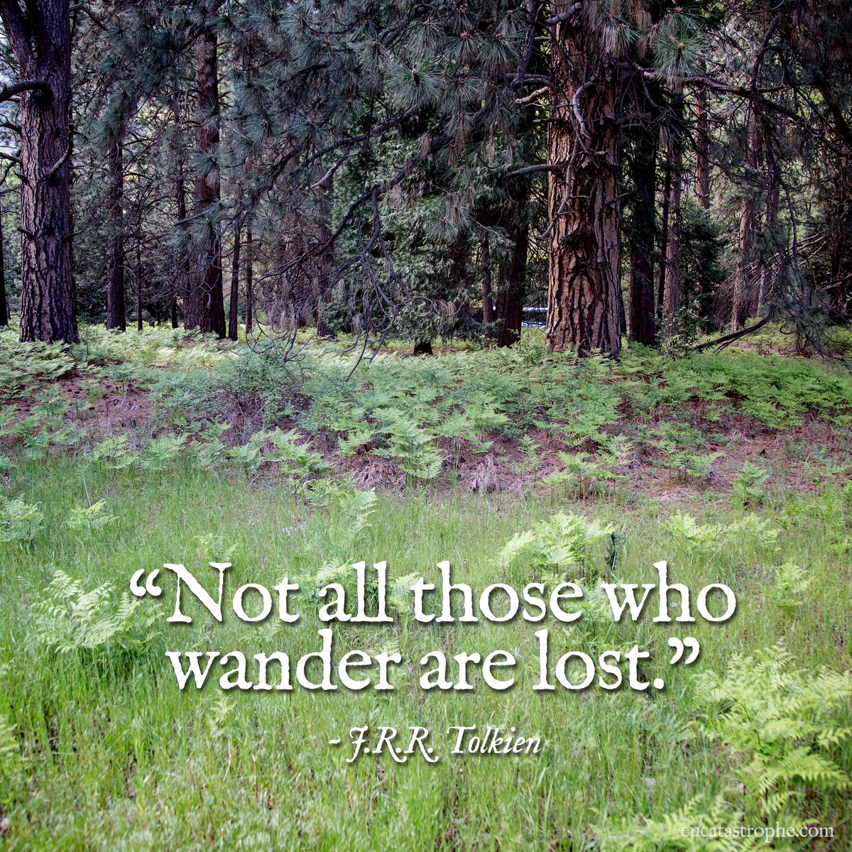JRRTolkien's tweet photo. #LotR #Tolkien https://t.co/Juojl6BiLi