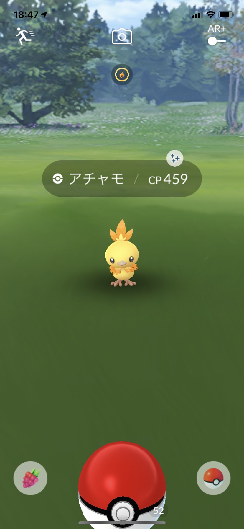 Pk3s アチャモ色違い バシャーモ好きなので嬉しい ポケモンgo 色違い アチャモ T Co Cxyhnuxvjq Twitter