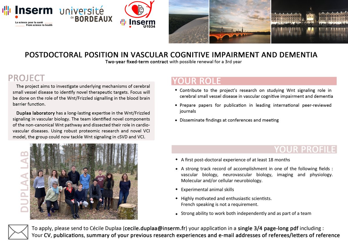 insermU1034's tweet photo. 🚨 We are hiring🚨 Three-year postdoc position available in vascular cognitive impairment and dementia ! Deadline : July 15th 2021. #bloodbrainbarrier #Wntpathway #InsermU1034
More information below ⬇️ Please RT https://t.co/sEHEDko1dz
