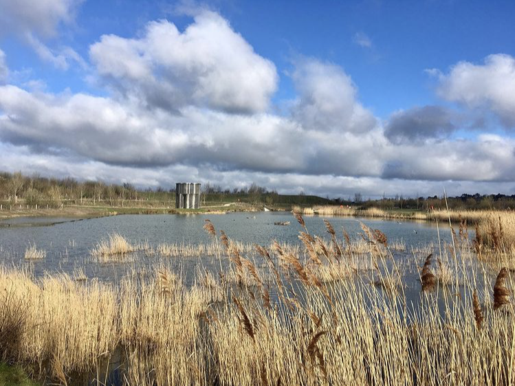 Eddington_Camb's tweet photo. Starting the week with this fantastic photo from @hrt1001

It features the Fata Morgana Tea House by artists Winter/Hoerbelt. This steel pavilion that visitors can enter is located at #BrookLeys in #Eddington.

Learn more about Eddington's public art here: https://t.co/PYYV2dzRao https://t.co/pAFyGklrAg